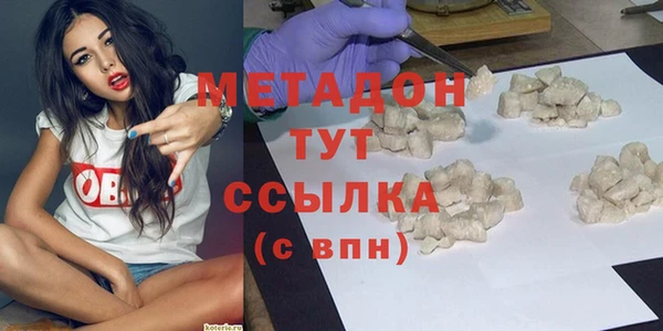 индика Новозыбков