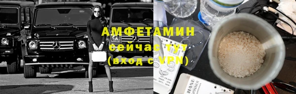 индика Новозыбков