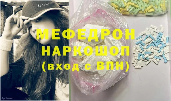 индика Новозыбков