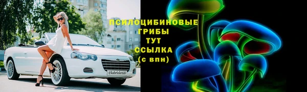 индика Новозыбков
