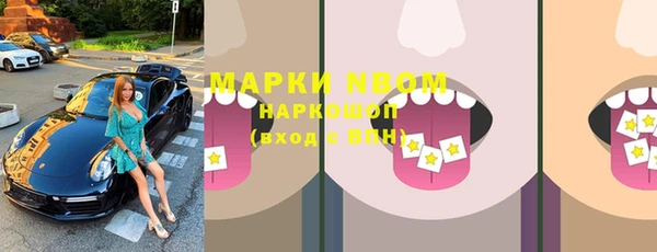 индика Новозыбков