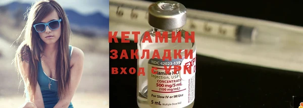 индика Новозыбков