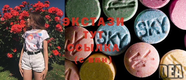 индика Новозыбков