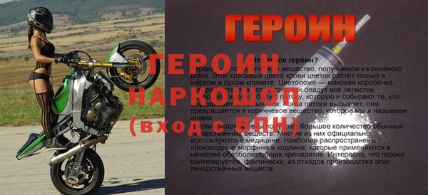 индика Новозыбков
