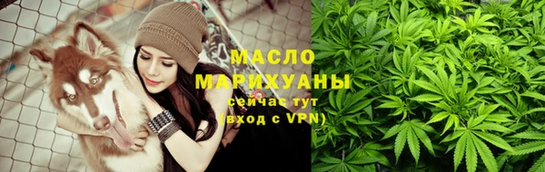 индика Новозыбков