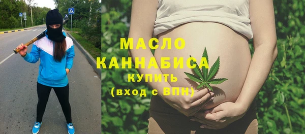 индика Новозыбков