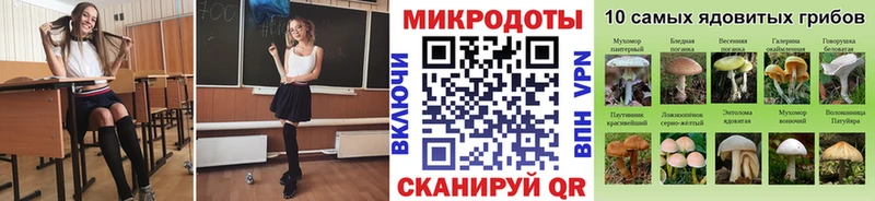 Галлюциногенные грибы ЛСД  Западная Двина 