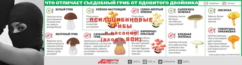 Галлюциногенные грибы ЛСД  где купить   Западная Двина 